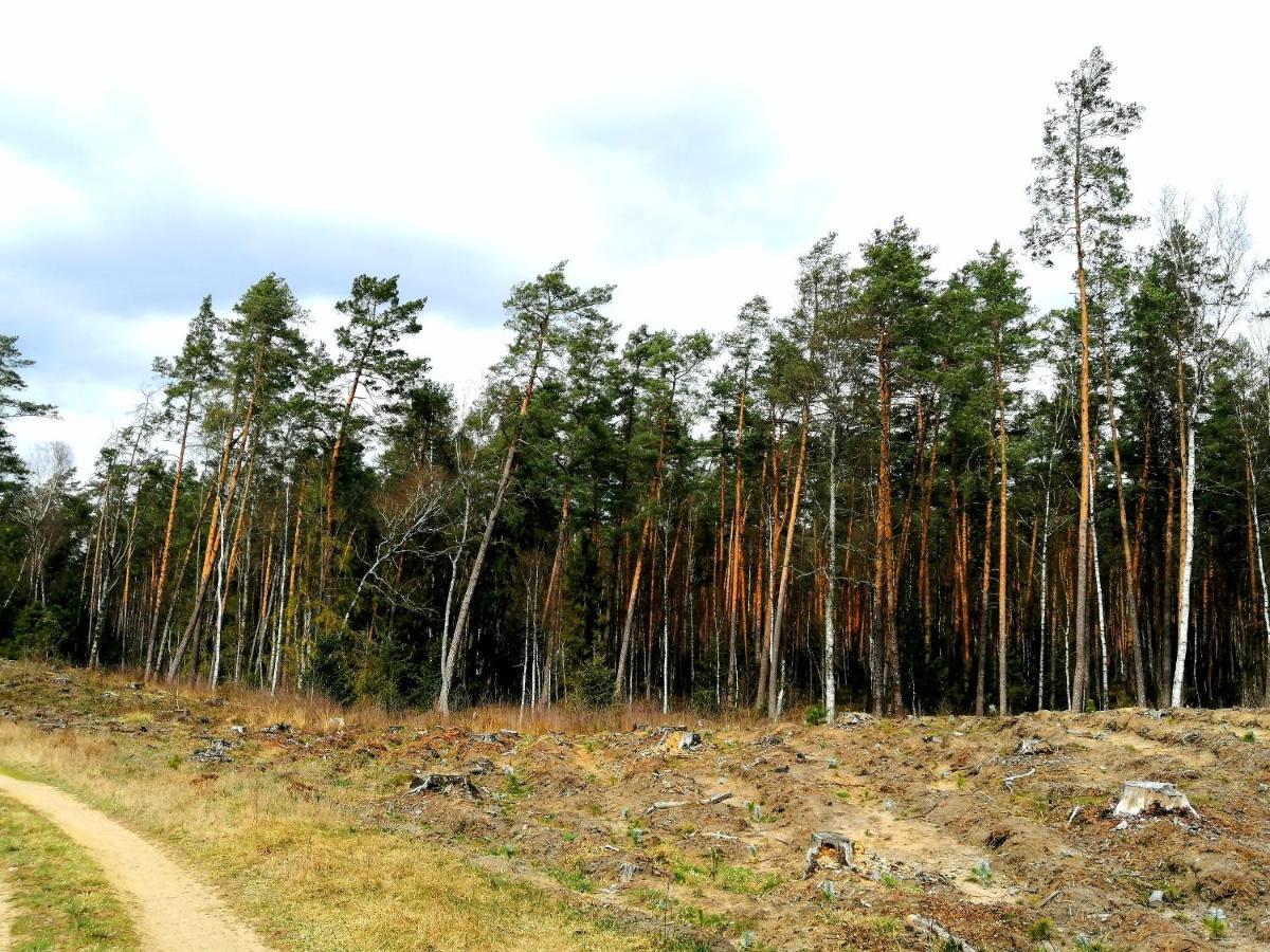 Wodamoja - Apartamenty Nad Jeziorem Stawiguda Exterior foto
