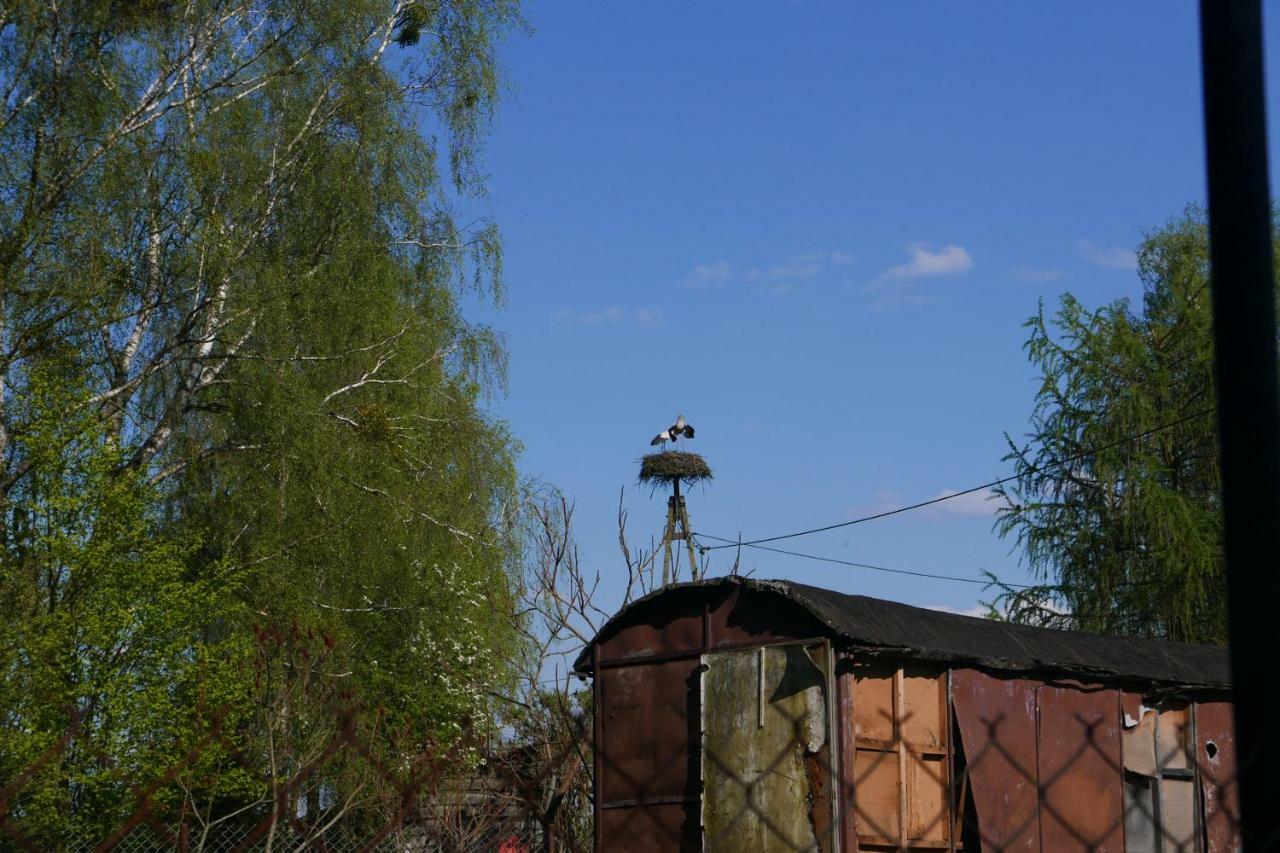 Wodamoja - Apartamenty Nad Jeziorem Stawiguda Exterior foto