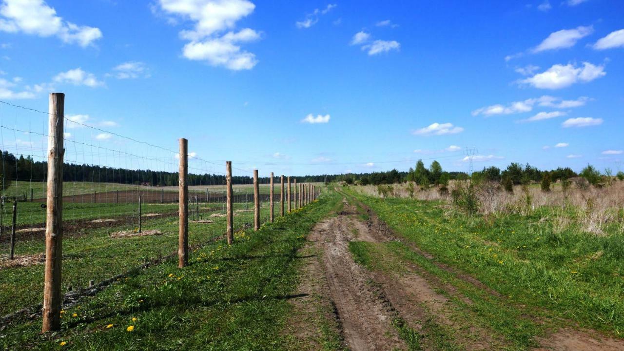 Wodamoja - Apartamenty Nad Jeziorem Stawiguda Exterior foto